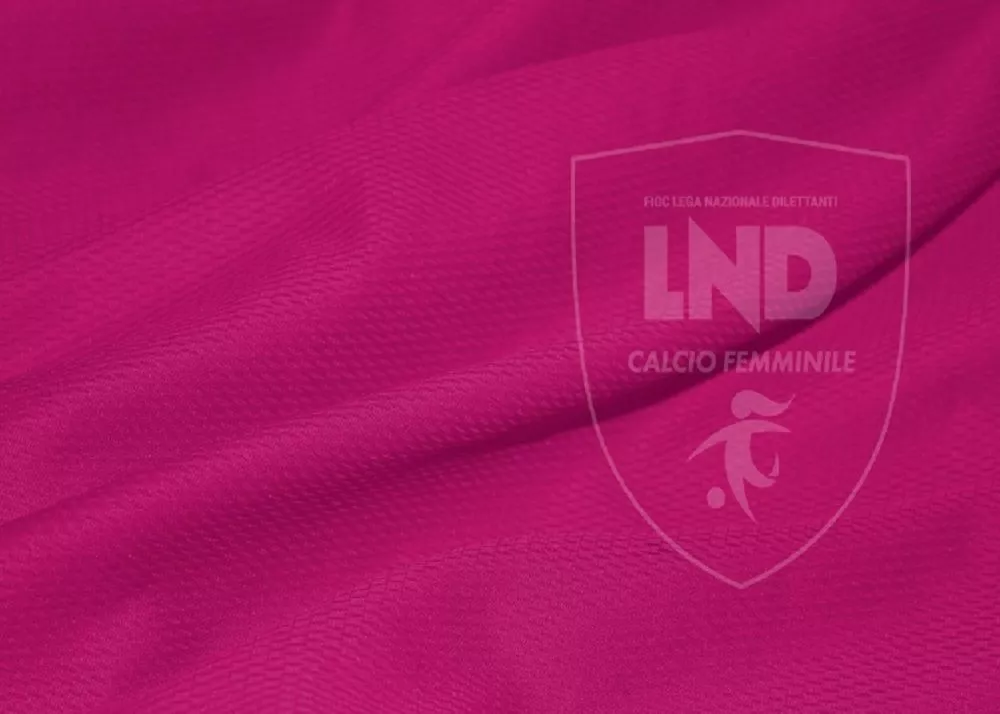 il logo della lega nazionale dilettanti femminile